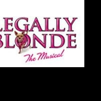 Marcus Center to Host Girl Scout Sleepover in Conjunction w/ LEGALLY BLONDE, 4/16 Video