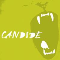 Quantum Theatre to Stage CANDIDE, Opens 11/5 Video