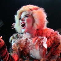 CATS Lands at Boston’s Colonial Theatre 4/13-4/18 Video
