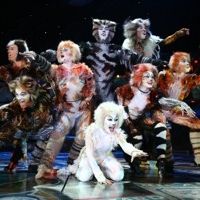 CATS Returns to Pantages Theatre 3/9-3/21 Video