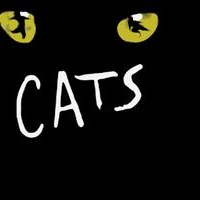 CATS Lands at Colonial Theatre; Tickets On Sale March 7 Video