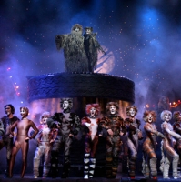 CATS : A Brazilian Production Opens in Sao Paulo!