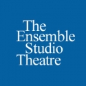 The Ensemble Studio Theatre Announces 2010 Marathon Playwrights  Video