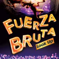 FUERZA BRUTA 'Looks Up' In Taiwan, 12/15 Video