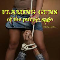 Promethean Theatre Company's FLAMING GUNS Showdowns at The Creek, 11/19 - 11/23