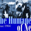 Humane Society of New York Holds Photography Auction in Honor of Martha Swope 4/27 Video