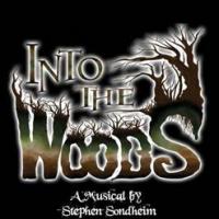 The Pinckney Players Presents INTO THE WOODS 10/24 - 11/1