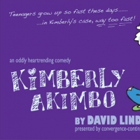 Convergence-Continuum Presents KIMBERLY AKIMBO, 3/19-4/17 Video