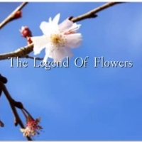MUSE Presents THE LEGEND OF FLOWERS, 4/23 & 4/25 Video