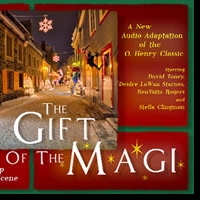 BWW Blog: A Theatre Lover's Guide to DC/Capital Area Theatres – January, 2010…