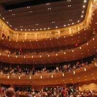 BWW Blogs: A Theatre Lover's Guide to DC/Capital Area Theatres – February 2010 Offerings