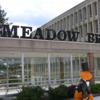 Meadow Brook Theatre Presents NO STRINGS ATTACHED Video