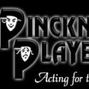 Tickets on Sale for Pinckney Players' 'Duck Hunter Shoots Angel,' 4/23-4/24