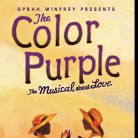 NJPAC Cancels Second Week of THE COLOR PURPLE Performances; Set to Close 12/20 Video