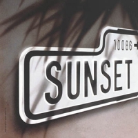 Signature Theatre Announces CHESS, SUNSET BOULEVARD, & More in '10-'11 Season  Video