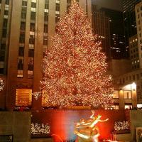 Despite Rumors, Rockefeller Center Christmas Tree Lighting Ceremony To Go Forth As Sc Video