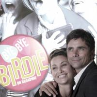 BYE BYE BIRDIE Box Office Soars: What Bad Reviews?