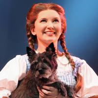 Photo Flash: THE WIZARD OF OZ National Tour Hits the Lyric Opera House! Video