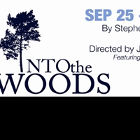 INTO THE WOODS, SEVEN YEAR ITCH & More Set for New Village Arts' 10th Season Video