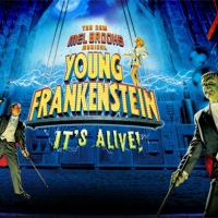 BWW Reviews: YOUNG FRANKENSTEIN at the Hippdrome Video