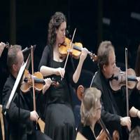 STAGE TUBE: Irish Chamber Orchestra Travels to Central Florida