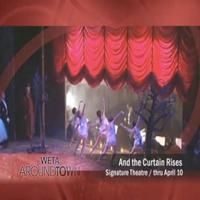 STAGE TUBE: Signature Theatre's AND THE CURTAIN RISES Review Panel! Video