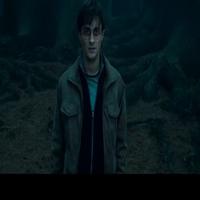 STAGE TUBE: Harry Potter and the Deathly Hallows New Trailer Video