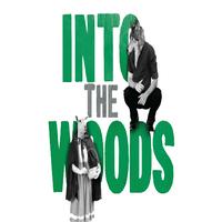 TV: INTO THE WOODS Opening Night at Open Air Theatre Video