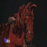 BWW TV: Broadway Beat Goes Inside Opening Night of WAR HORSE Video