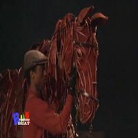 TV: Broadway Beat Goes Inside Opening Night of WAR HORSE