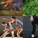 Jacob's Pillow Welcomes Jacoby & Pronk, 7/21-25