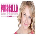 Spencer, McGowan, Gurr, Marsh & Metzler Complete Pre-Broadway PRISCILLA Cast!