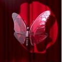The Butterfly Club Now Accepting Applications for  2011 Video