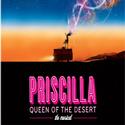 PRISCILLA QUEEN OF THE DESERT to Play at the Palace; Opens 3/20