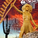 Good Selection: Natural Selection at Single Carrot