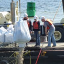 Experimental Oyster Reef Launches at Soundview Park 10/28