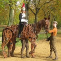 Photo Flash: WAR HORSE Launchs Olympia Horse Show in Hyde Park