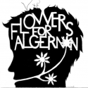 FLOWERS FOR ALGERNON Opens 11/11 at Tallmadge High School Video