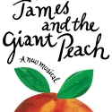 Actress Injured During JAMES AND THE GIANT PEACH Video