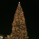 Photo Coverage: Christamas Tree Lighting Celebration with DWTS' Mark Ballas, Peabo Br Video