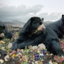 SIMEN JOHAN: UNTIL THE KINGDOM COMES Opens At The Frist 2/20