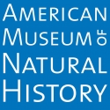 American Museum of Natural History Open To Public 1/1, Two Attractions To Close 1/2