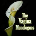 Silver Spring Stage Present VAGINA MONOLOGUES Benefit Performances 5/14-16 Video