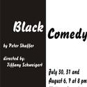 Bell Road Barn Players Hold Auditions For BLACK COMEDY 6/14-15 Video