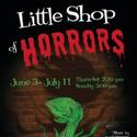 La Costa Theatre Co. Presents LITTLE SHOP OF HORRORS 6/3-7/11