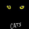 Toby's Dinner Theatre Announces CATS, BUDDY: The Buddy Holly Story And More