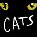 CATS Comes To The Stage At The King Center 7/9 Video