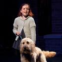 Photo Flash: The Town Players Present ANNIE Video