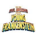 Marcus Center For The Performing Arts Presents YOUNG FRANKENSTEIN 11/2-11/7 Video