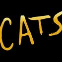 CATS Plays The Music Hall Nov. 5-7, Tickets On Sale Now